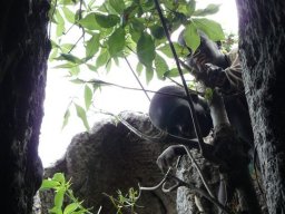 283224_10150262256634901_4830587_n